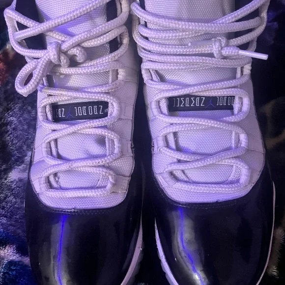 Jordan concord 11